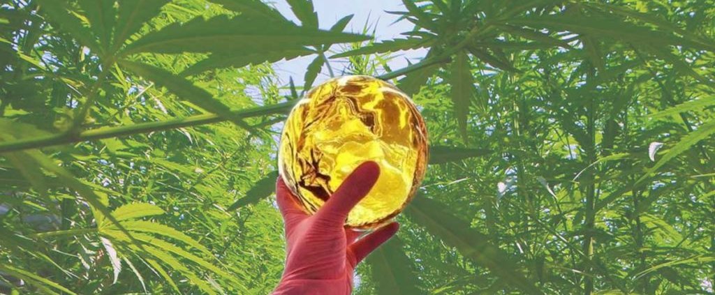 CO2 Extraction