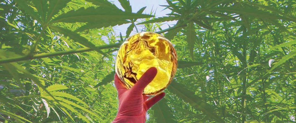 CO2 Extraction