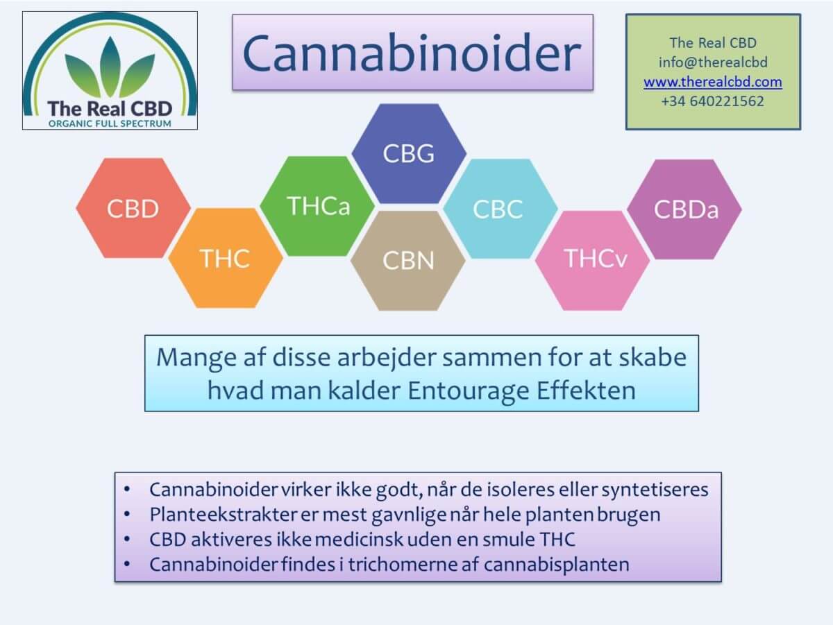 the-real-cbd-Cannabinoider DK