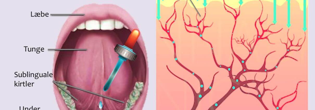 Illustration af, hvordan man tager CBD-olie under tungen