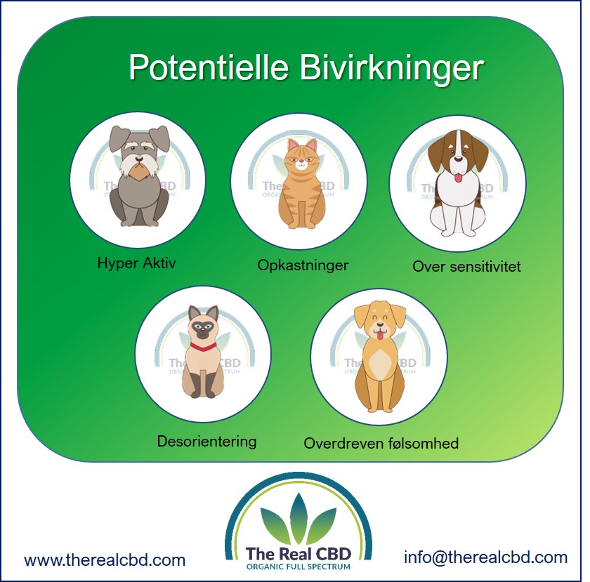 CBD Bivirkninger