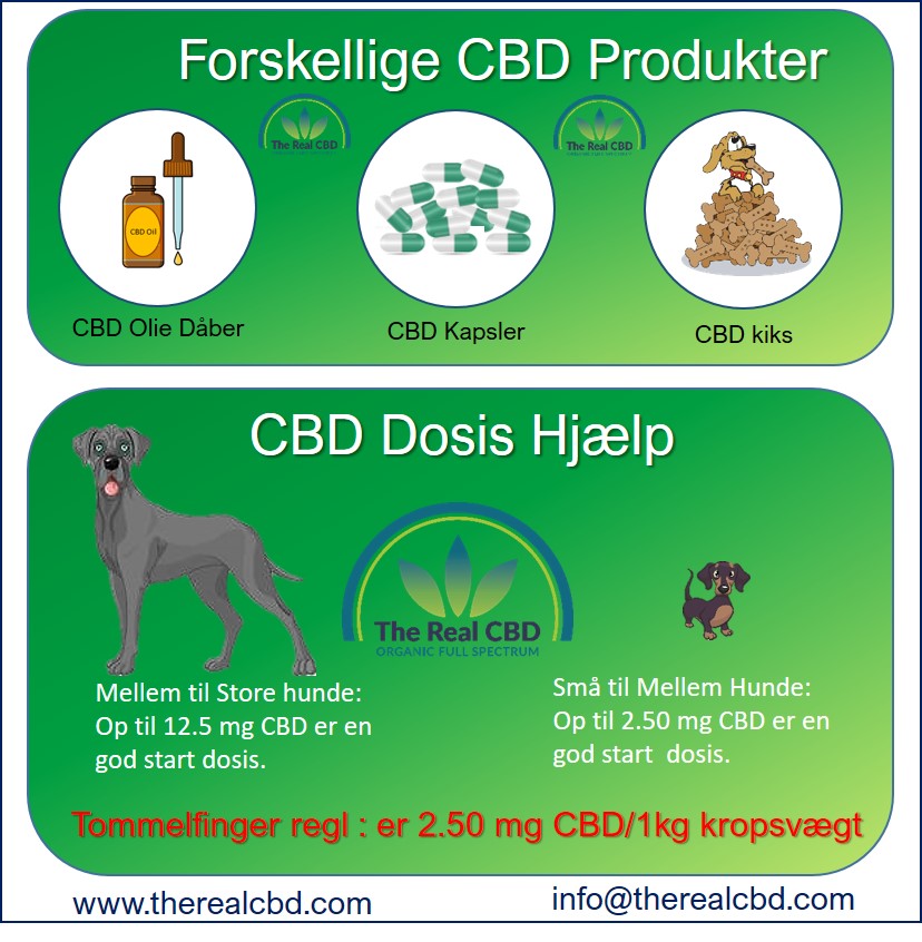 The Real CBD Info graphics