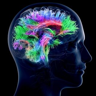 brain work