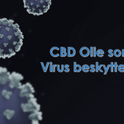 Picture1 Virus flyver rundt