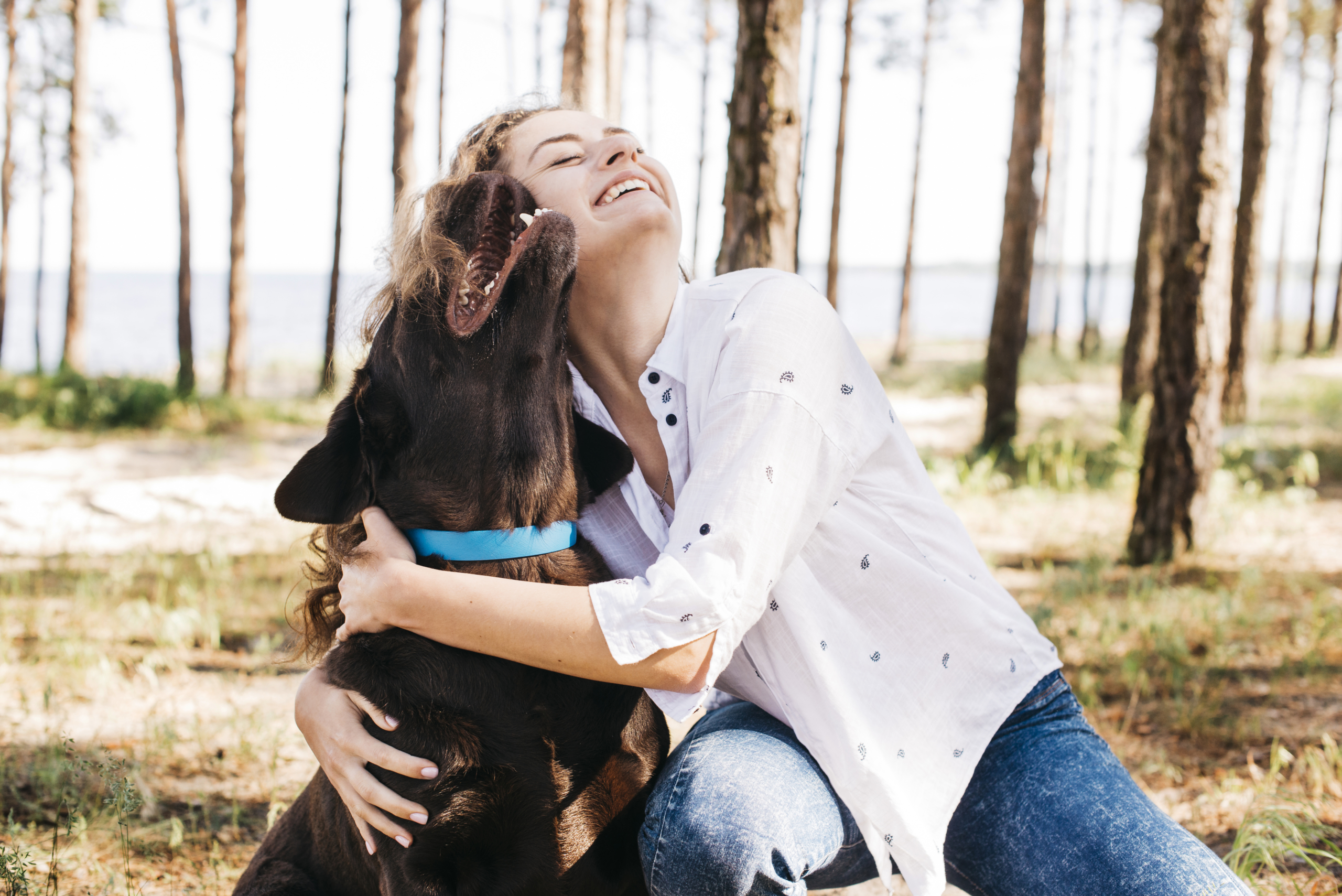 Kvinde krammer sin hund i en skov