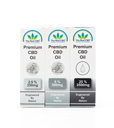 3 æsker med CBD-olie til kæledyr - The Real CBD