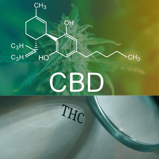 The-Real-CBD-Blog-er-CBD-olie-vanedannende