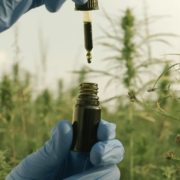 The-Real-CBD-Blog-CBD-oil-vs-hemp-oil Hånd med CBD-olie i en hampemark