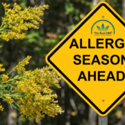 The-Real-CBD-Blog-kan-man-være-allergisk-overfor-CBD ALLERGY SEASON AHEAD vejskilt