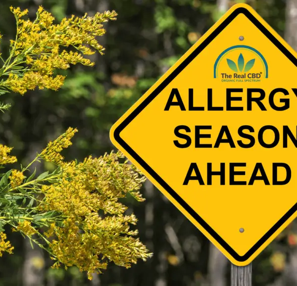 ALLERGY SEASON AHEAD vejskilt