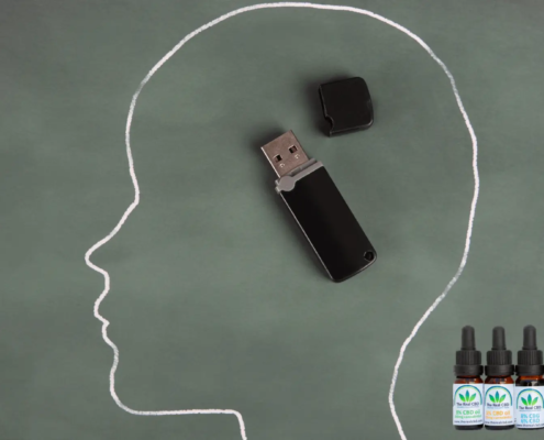 Hoved med en memory stick