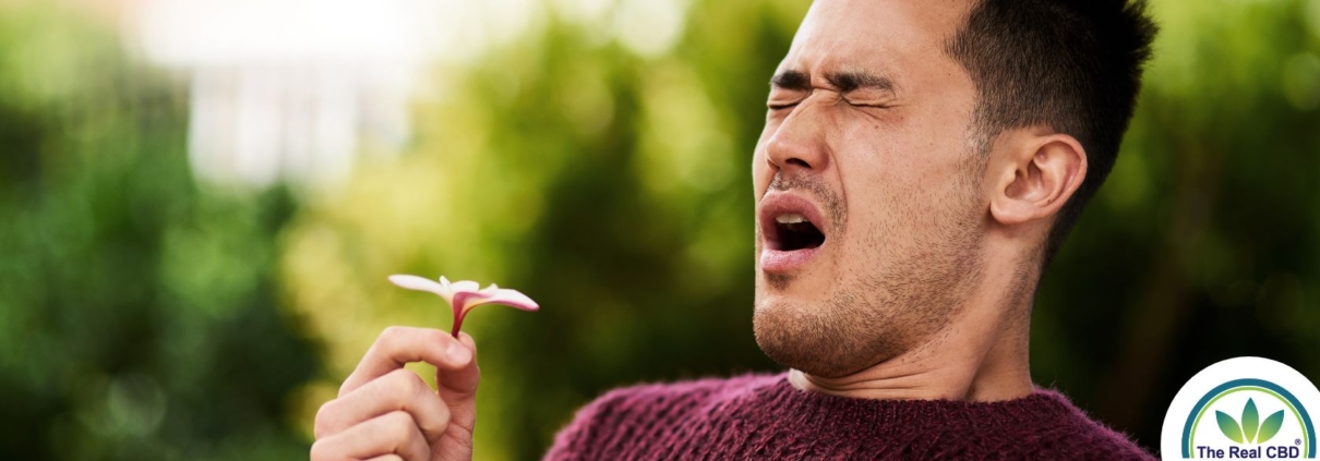 Mand nyser og lugter til en blomst