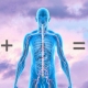 CBD-flaske og en mennesketorso
