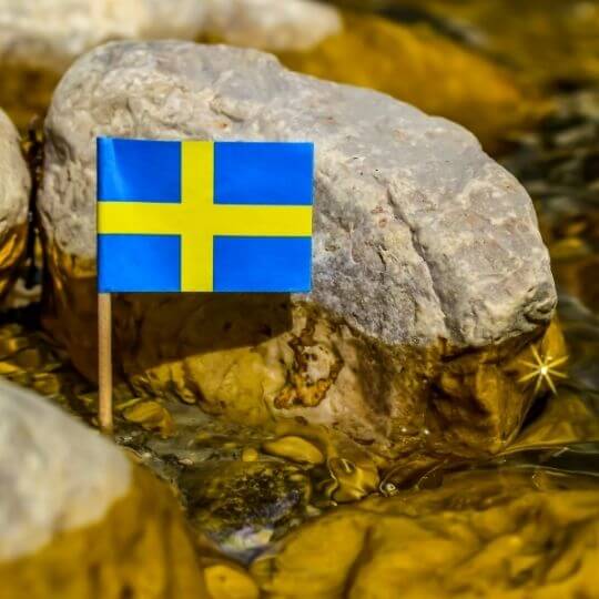 Svensk flag i en bæk