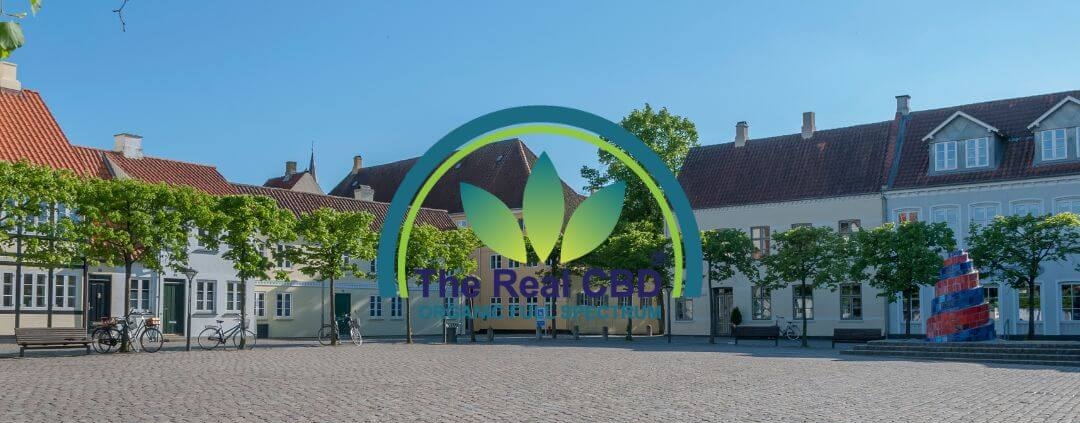Udsigt over byen Odense