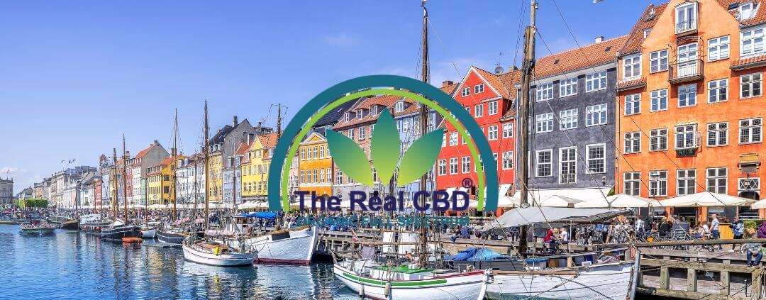 Udsigt over byen København