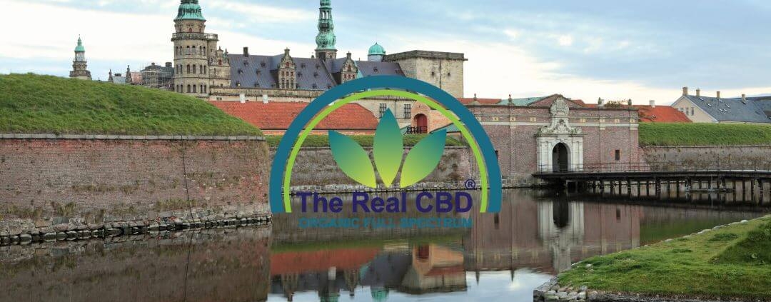 Udsigt over byen Helsingør