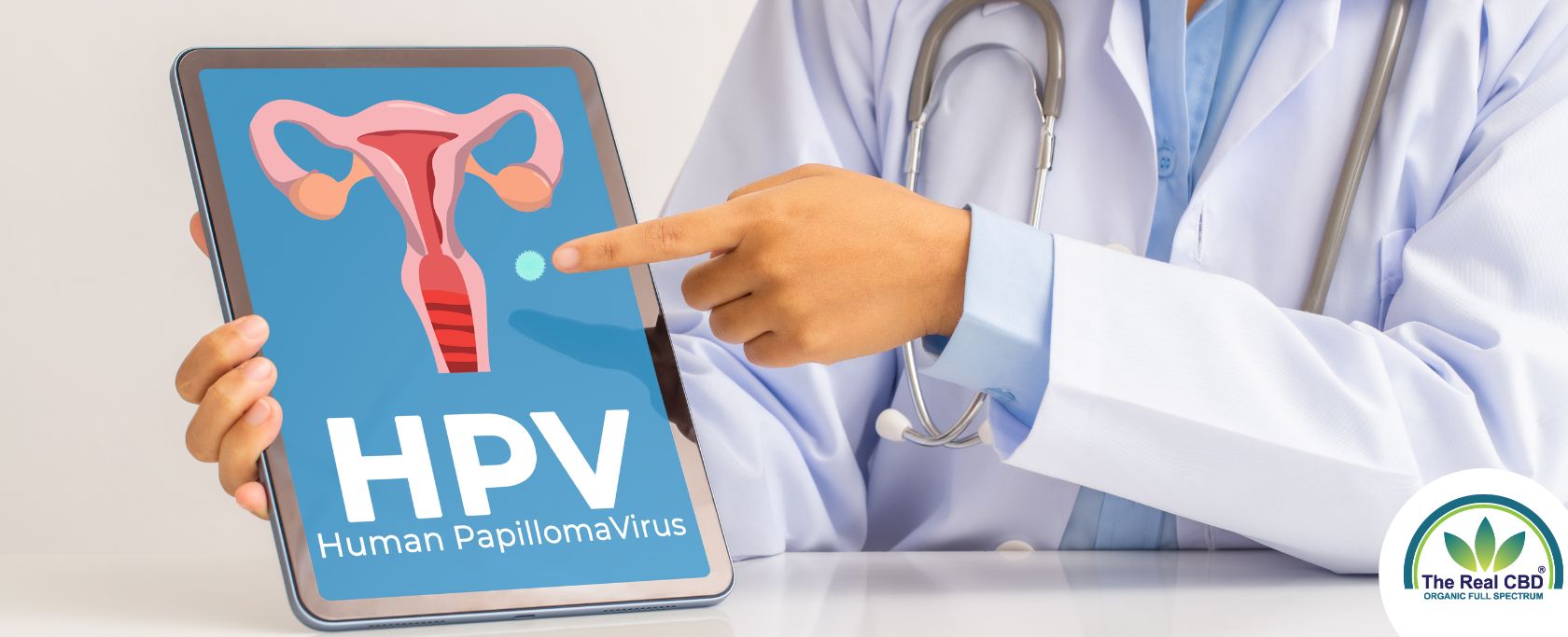 Læge peger på tablet med HPV-livmoder på
