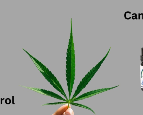Flasker med CBG- og CBD-tinkturer med et hampeblad imellem