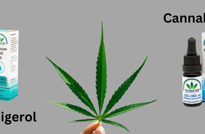 Flasker med CBG- og CBD-tinkturer med et hampeblad imellem