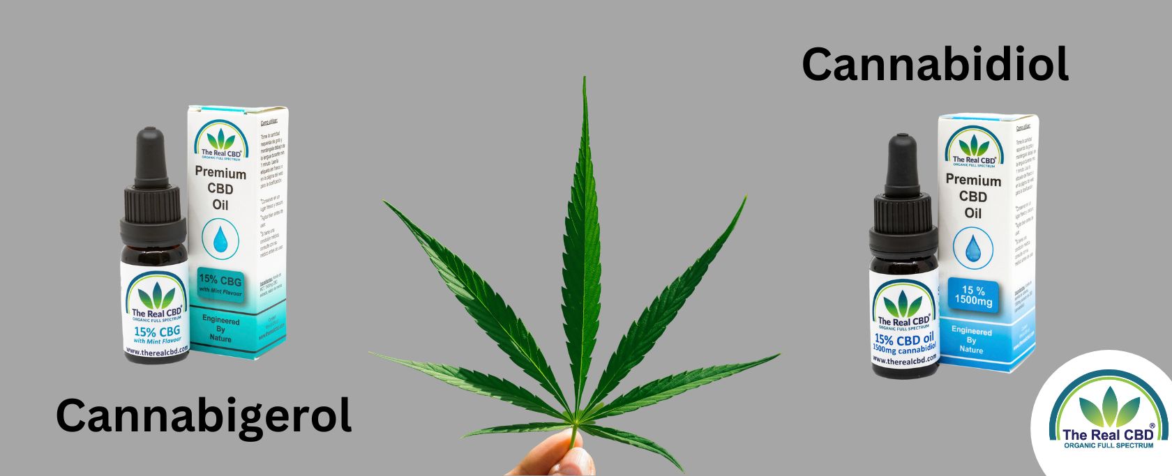 CBD og CBG – Hvad er forskellen?