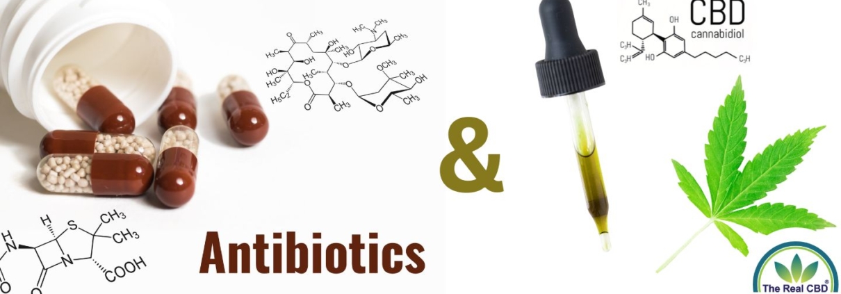 Antibiotikakapsler og pipette med CBD-olie