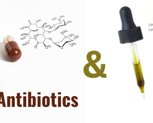 Antibiotikakapsler og pipette med CBD-olie