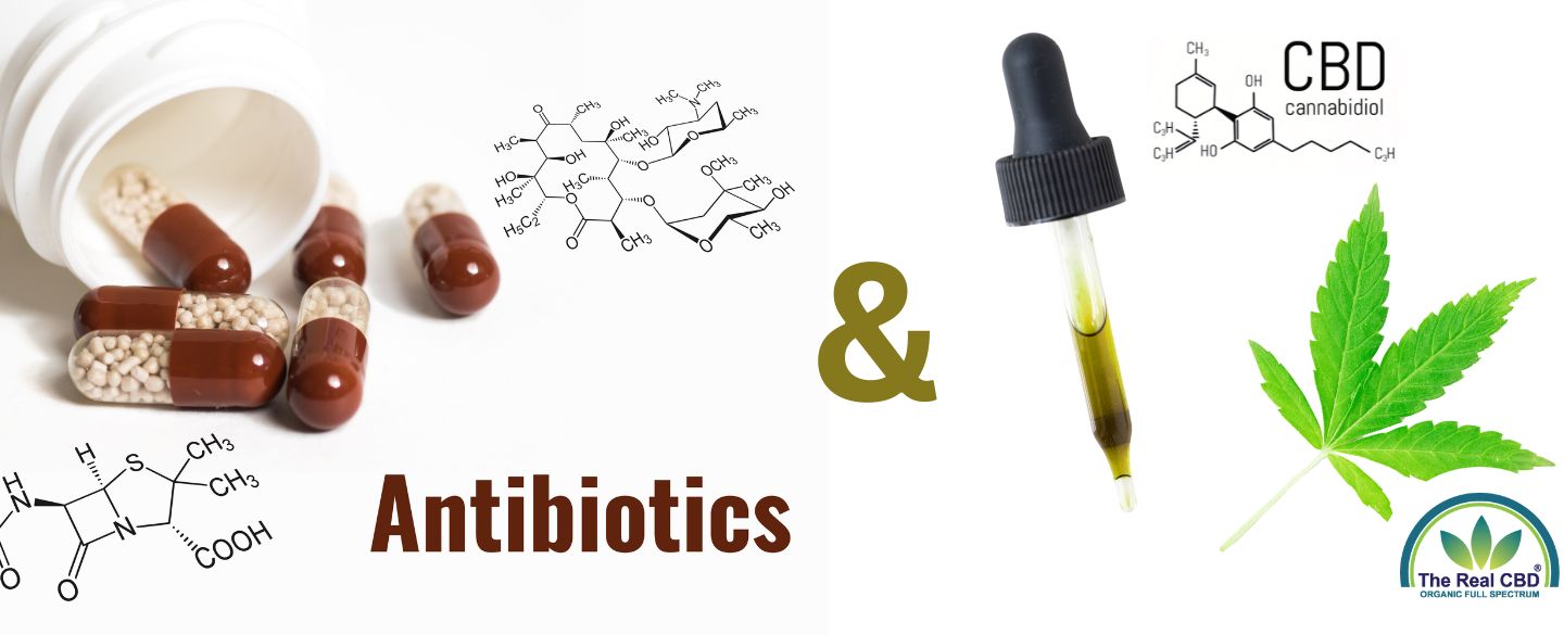 Antibiotikakapsler og pipette med CBD-olie