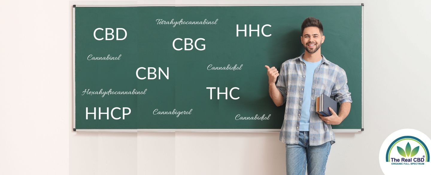 Lærer foran tavle med cannabinoid-forkortelser på