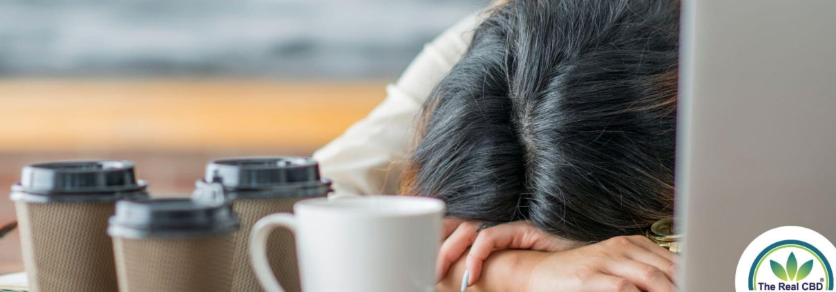 Kvinde sover på bord med flere kaffekopper på