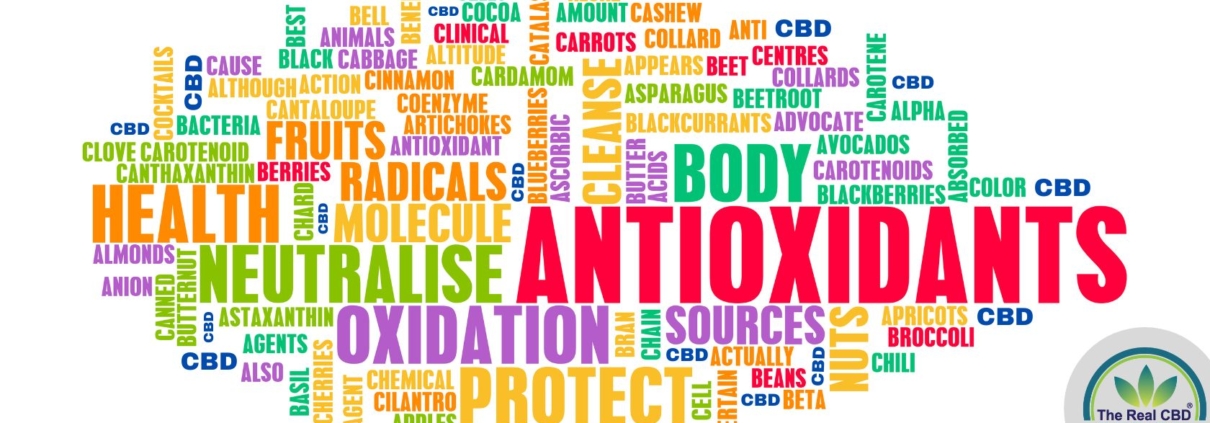 ANTIOXIDANT ordsuppe