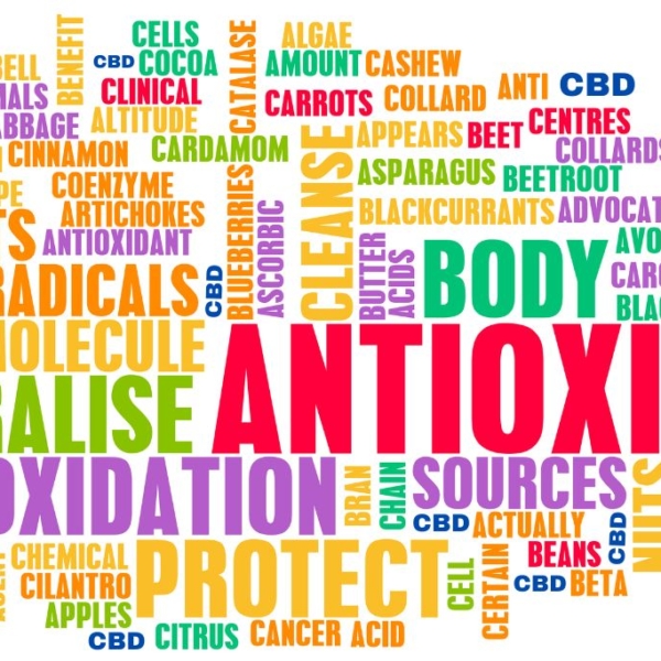 ANTIOXIDANT ordsuppe