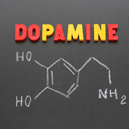 dopamin diagram beskrivlse