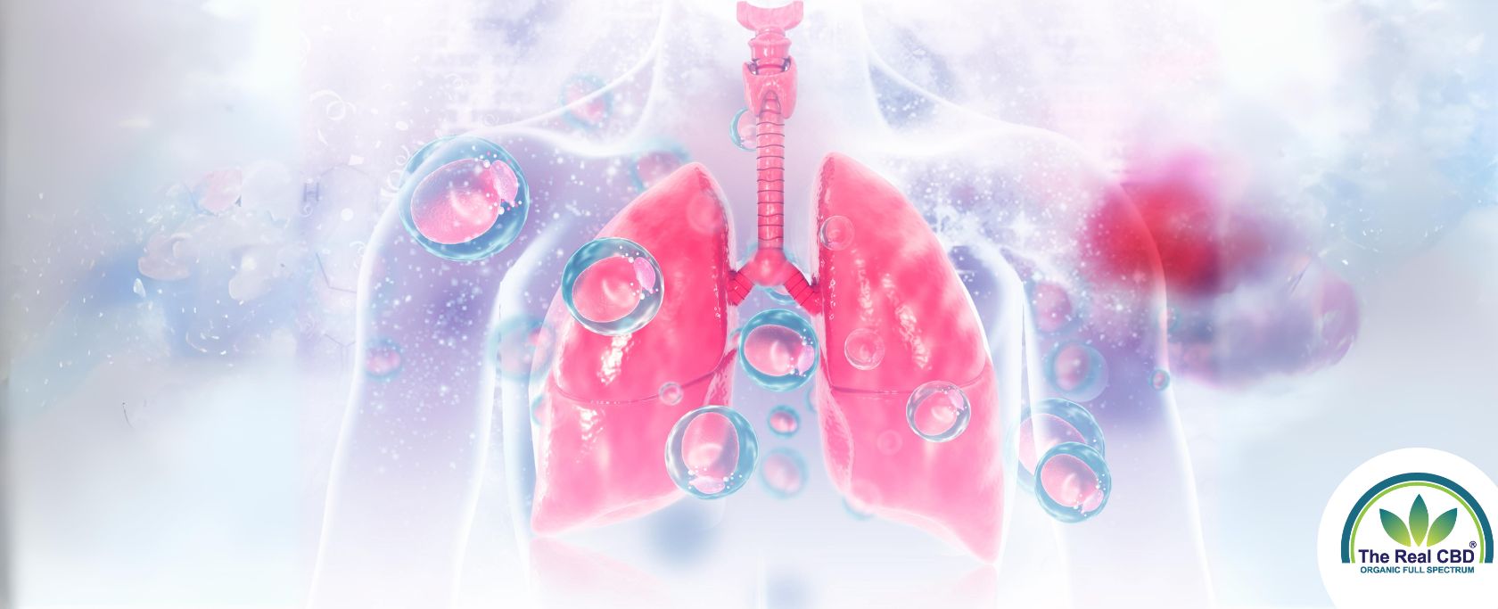 CBD mod lungesygdomme: En omfattende guide