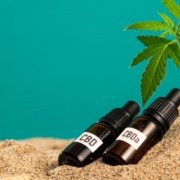 The-Real-CBD-Blog-har-CBDA-nogen-bivirkninger CBD- og CBA-olieflasker i sandet
