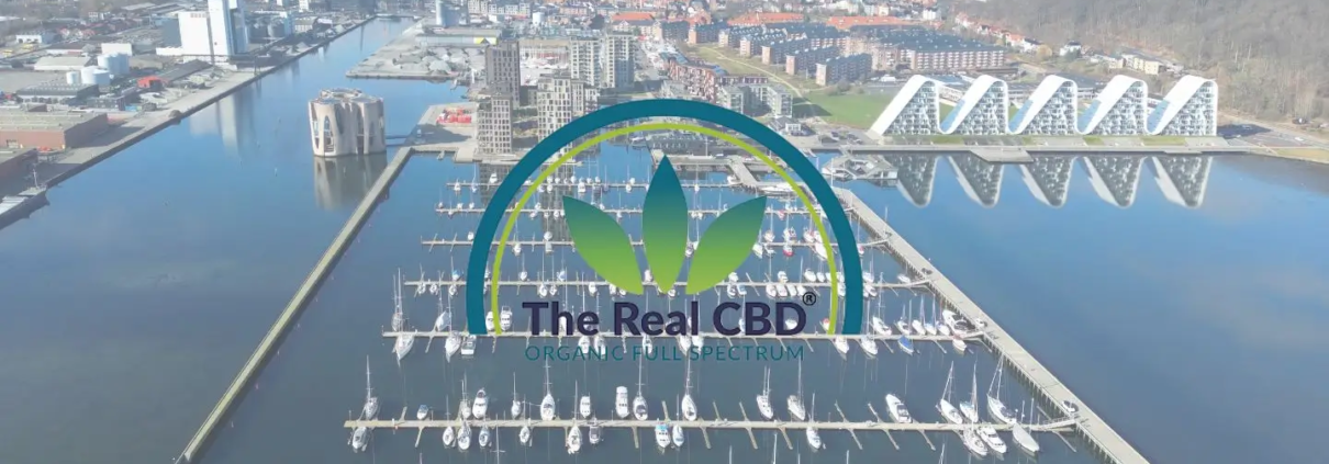Udsigt over havnen i Vejle