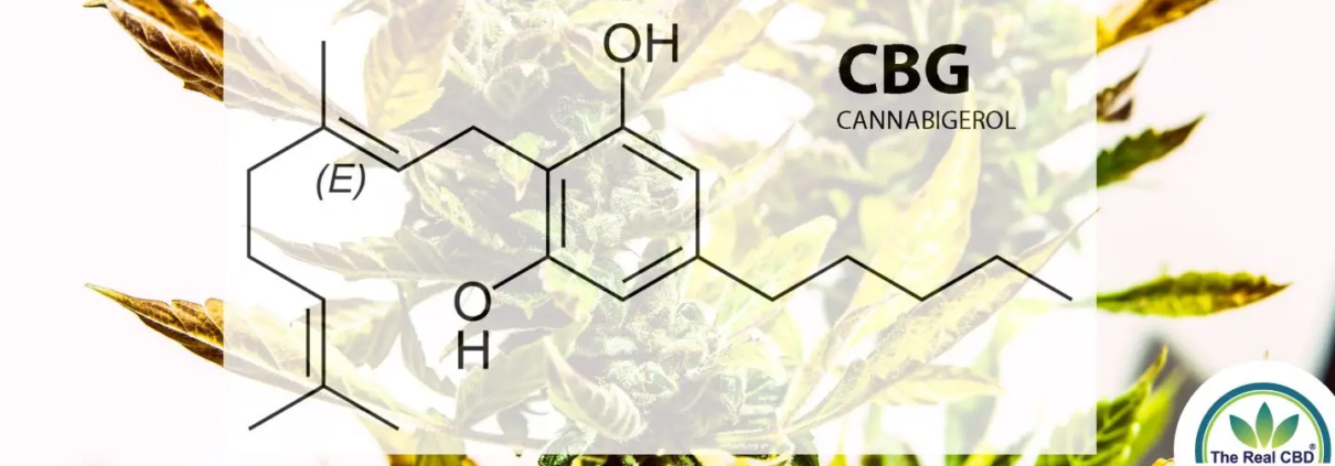 CBD cannabigerol
