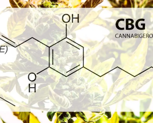 CBD cannabigerol