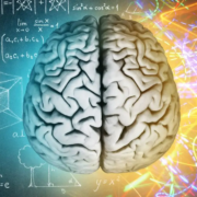The-Real-CBD-Blog-hvordan-virker-CBD-på-hjernen Hjerne med algebra og elektrisk strøm