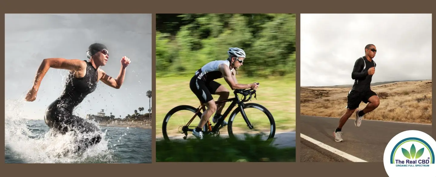 Hvordan kan CBD gavne triatleter?