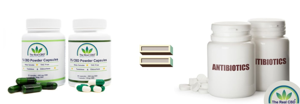 CBD kapsler og antibiotikum med et = imellem