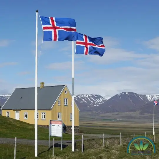 Islandske flag