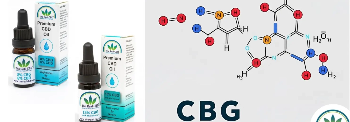 Videnskabelig skrivning CBG