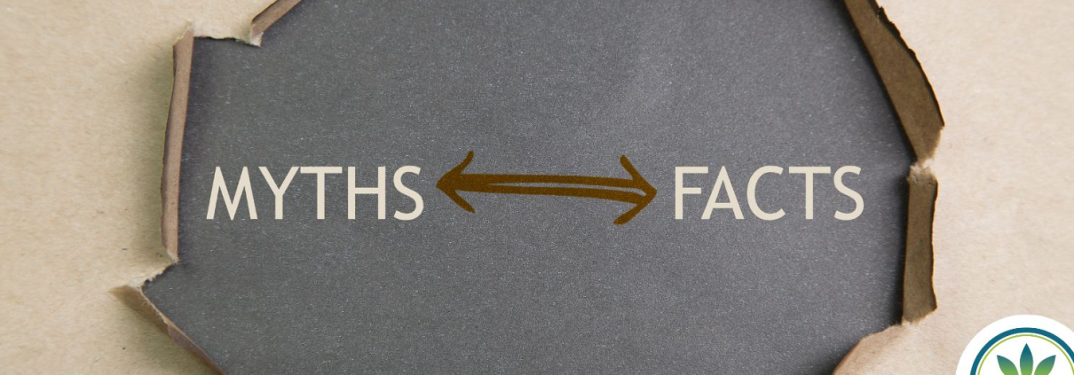 Revet papir viser ordne: MYTHS og FACTS