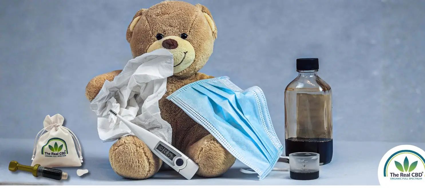 Hostesaft og CBD staar sammen med en bamse