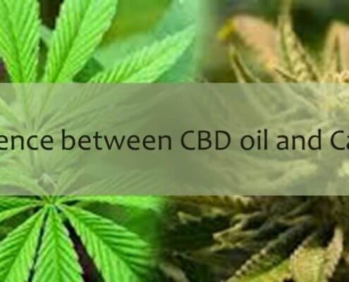 Der Unterschied zwischen CBD- und Cannabis-Öl