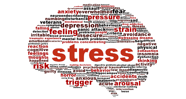 Stress-Gehirn