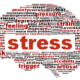 stress brain