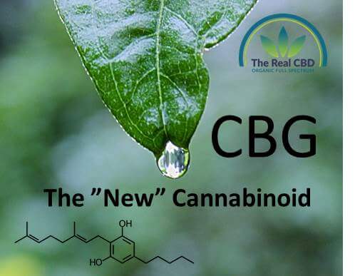 CBG the new cannabinoid