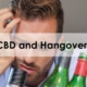 The Real CBD - cbd and hangovers blog